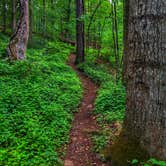 Review photo of Hard Labor Creek State Park Campground by George & Patty C., July 22, 2018