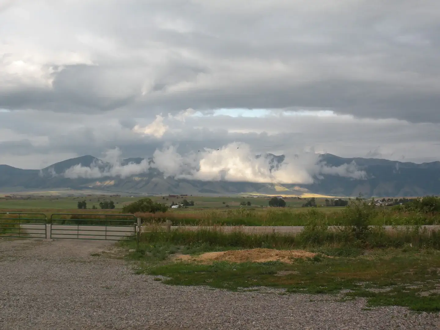 Camper-submitted photo at Serenity Sheep Farm Stay near Belgrade, MT