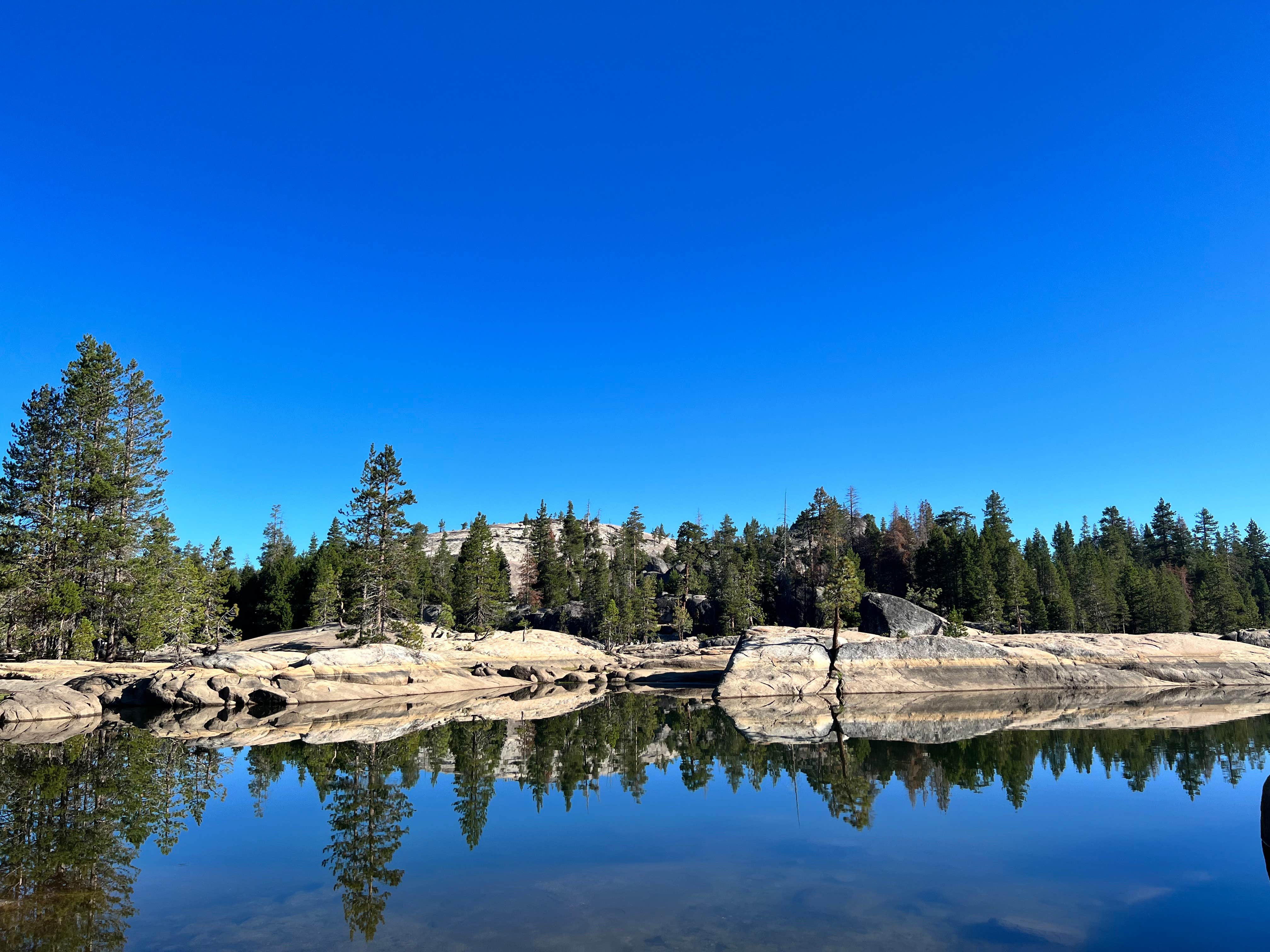 Camper-submitted photo at Utica Campgrounds near Fort Jones, CA