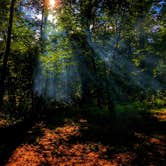 Review photo of Hard Labor Creek State Park Campground by George & Patty C., July 22, 2018