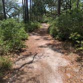 Review photo of Ochlockonee River State Park Campground by TERIA M., August 8, 2022