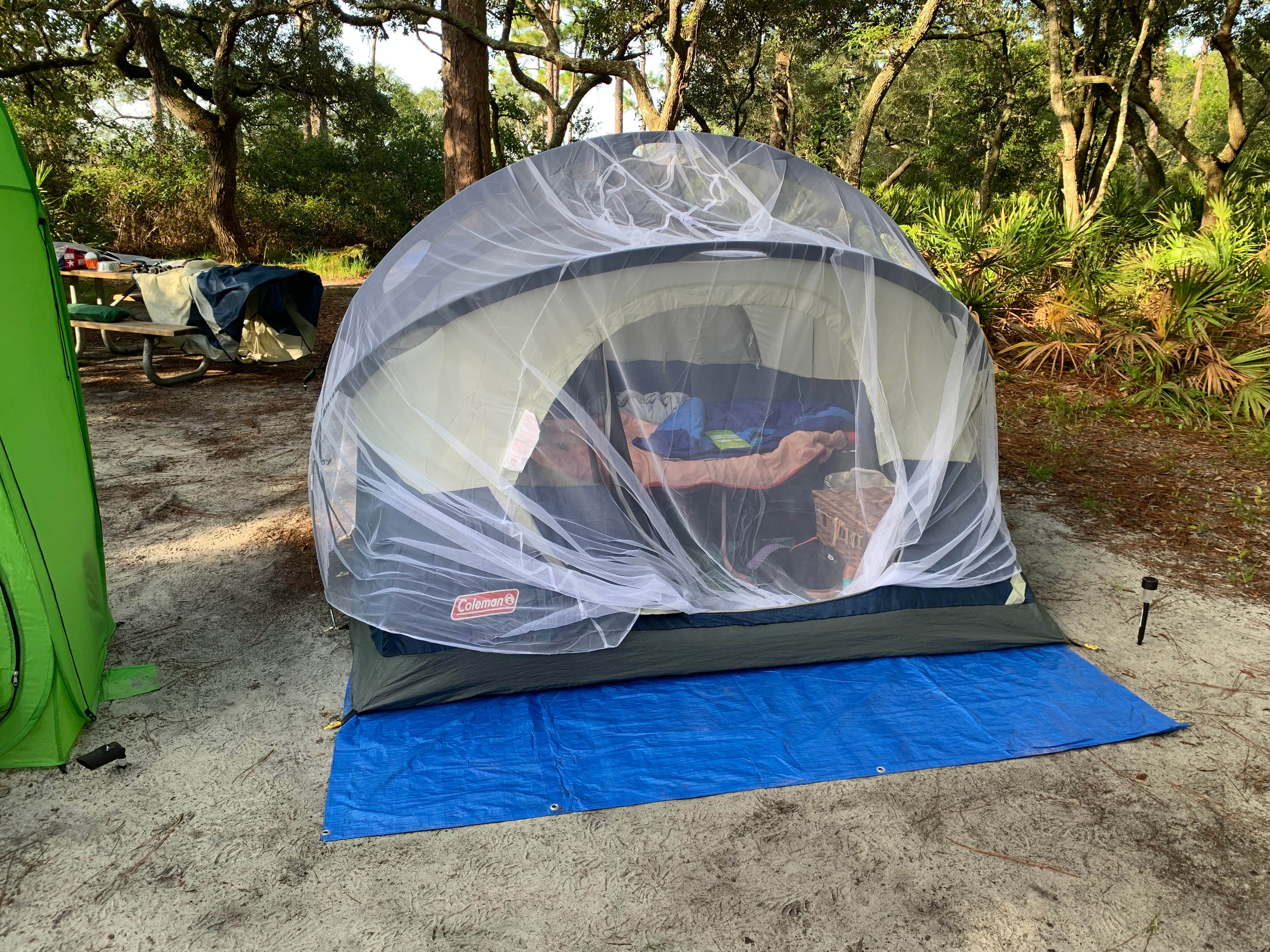 TERIA M.'s photo at Ochlockonee River State Park Campground near Apalachicola National Forest