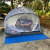 Review photo of Ochlockonee River State Park Campground by TERIA M., August 8, 2022