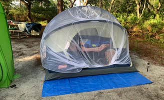 TERIA M.'s photo at Ochlockonee River State Park Campground near Apalachicola National Forest