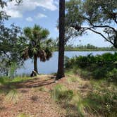 Review photo of Ochlockonee River State Park Campground by TERIA M., August 8, 2022