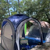 Review photo of Ochlockonee River State Park Campground by TERIA M., August 8, 2022