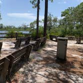 Review photo of Ochlockonee River State Park Campground by TERIA M., August 8, 2022