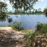 Review photo of Ochlockonee River State Park Campground by TERIA M., August 8, 2022