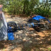 Review photo of Ochlockonee River State Park Campground by TERIA M., August 8, 2022