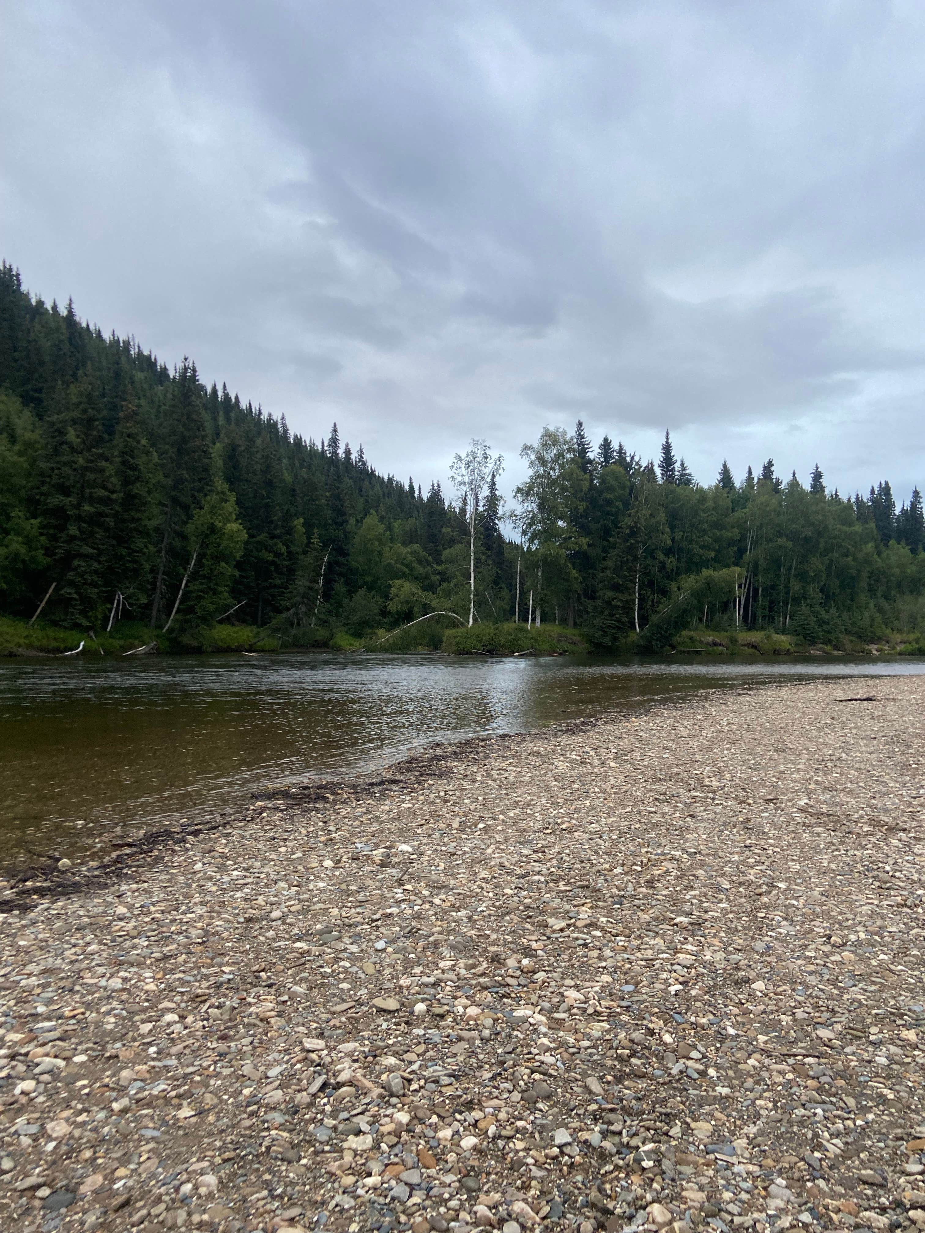Camper-submitted photo at Salcha River State Recreation Site near Eielson AFB, AK