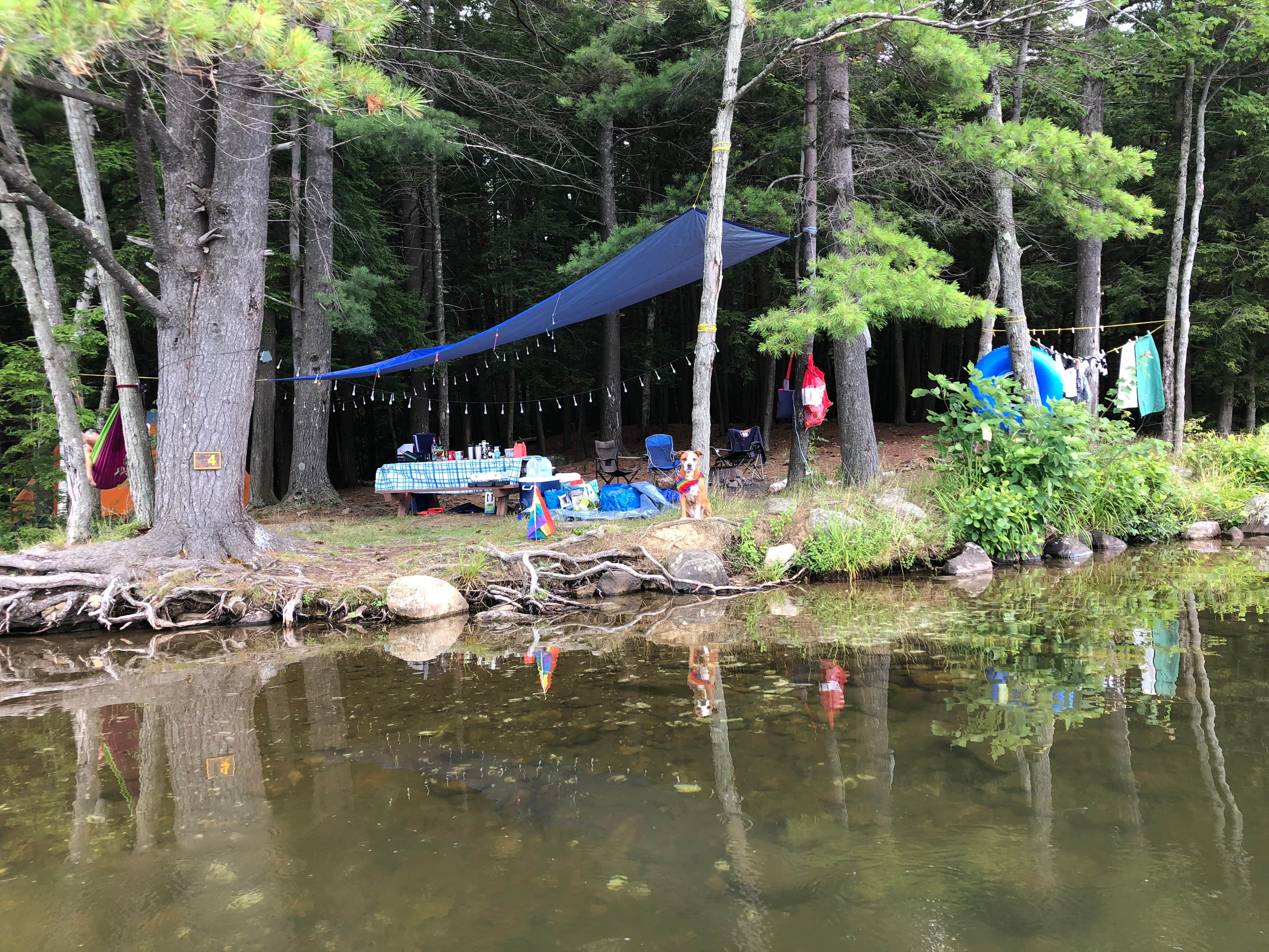 Camper submitted image from Putnam Pond Adirondack Preserve - 1