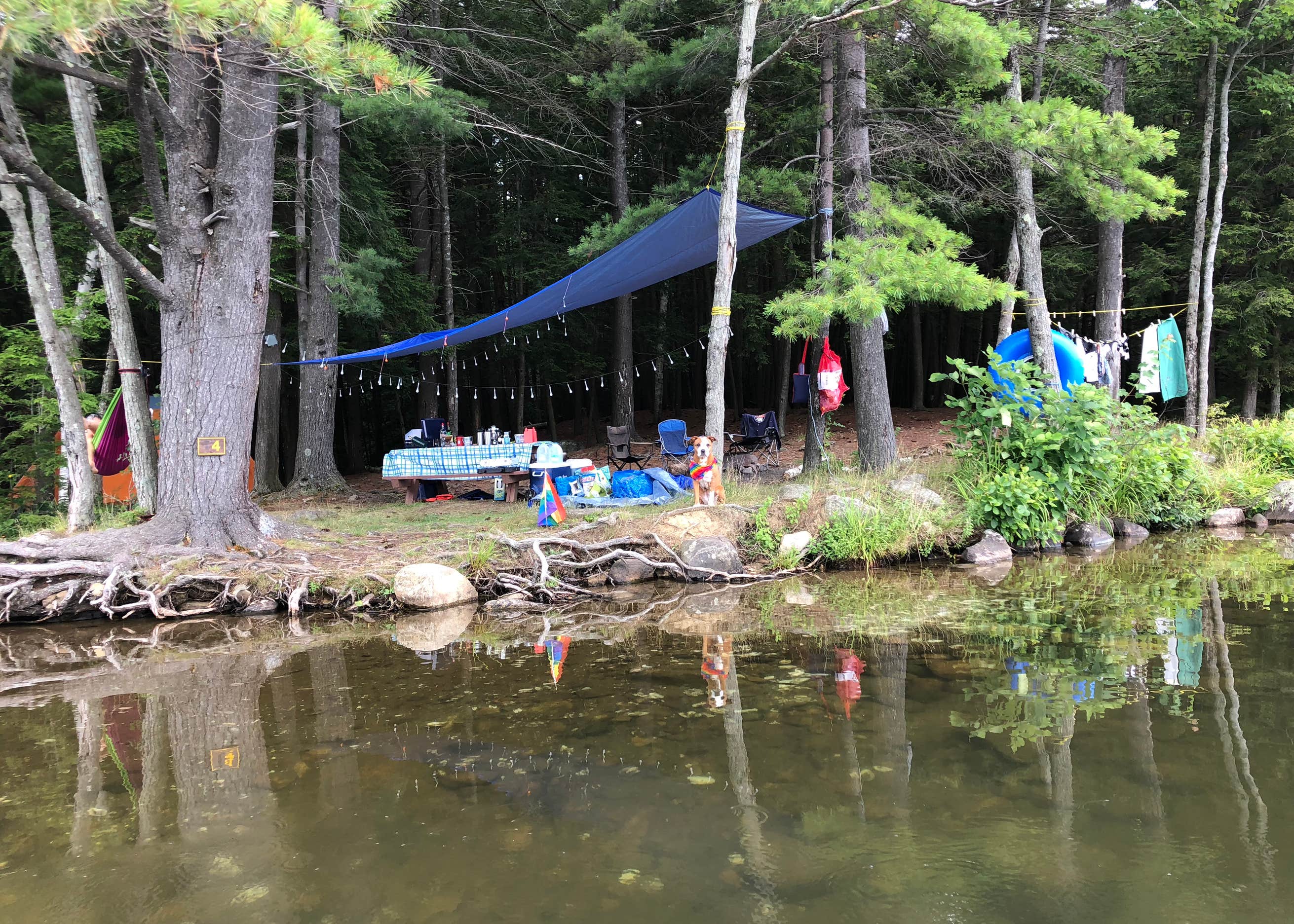 Putnam Pond Adirondack Preserve Camping Ticonderoga, NY The Dyrt