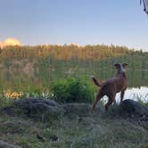 Review photo of Putnam Pond Adirondack Preserve by Tara F., August 9, 2022