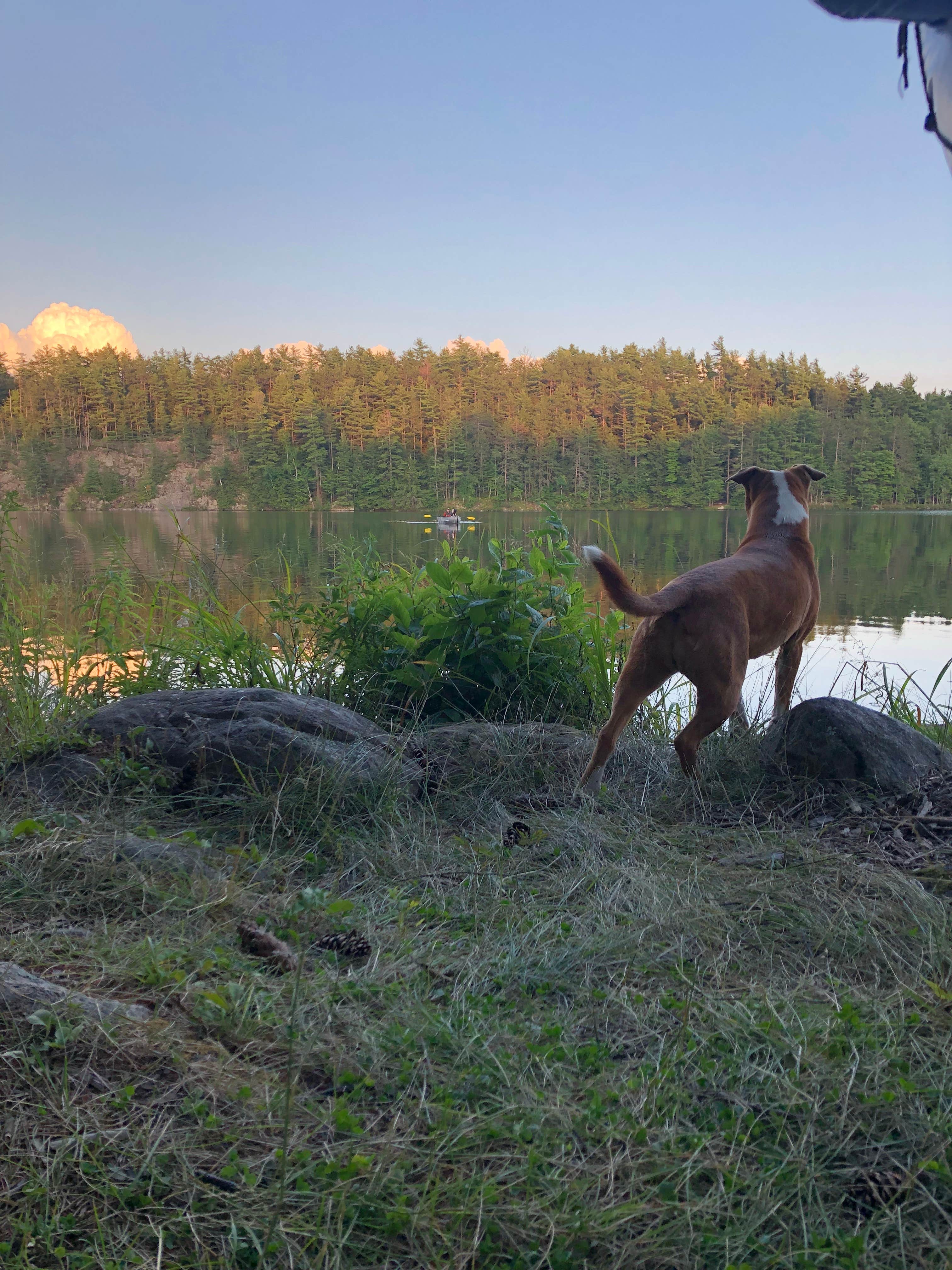 Camper-submitted photo at Putnam Pond Campground near Huletts Landing, NY