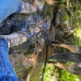 Review photo of Big Creek Lakes Campground by Sara F., August 9, 2022
