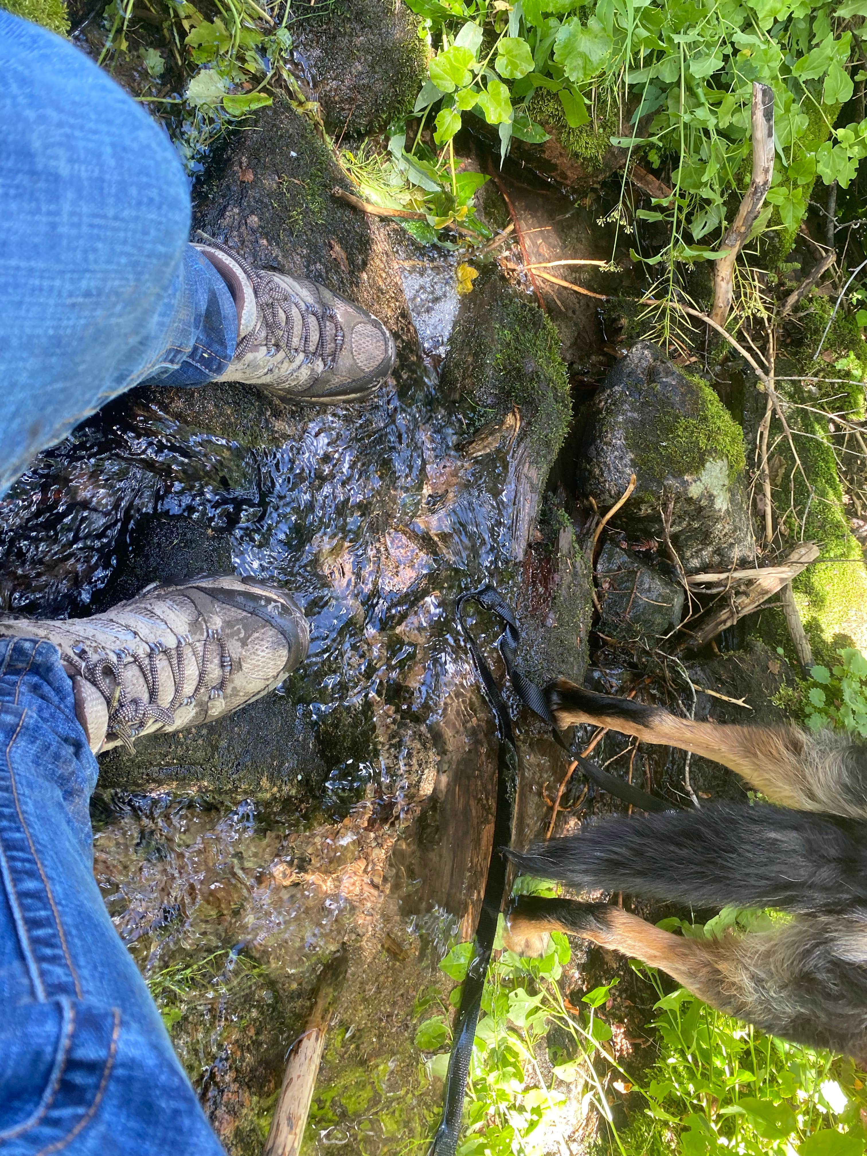 Camper submitted image from Big Creek Lakes Campground - 5