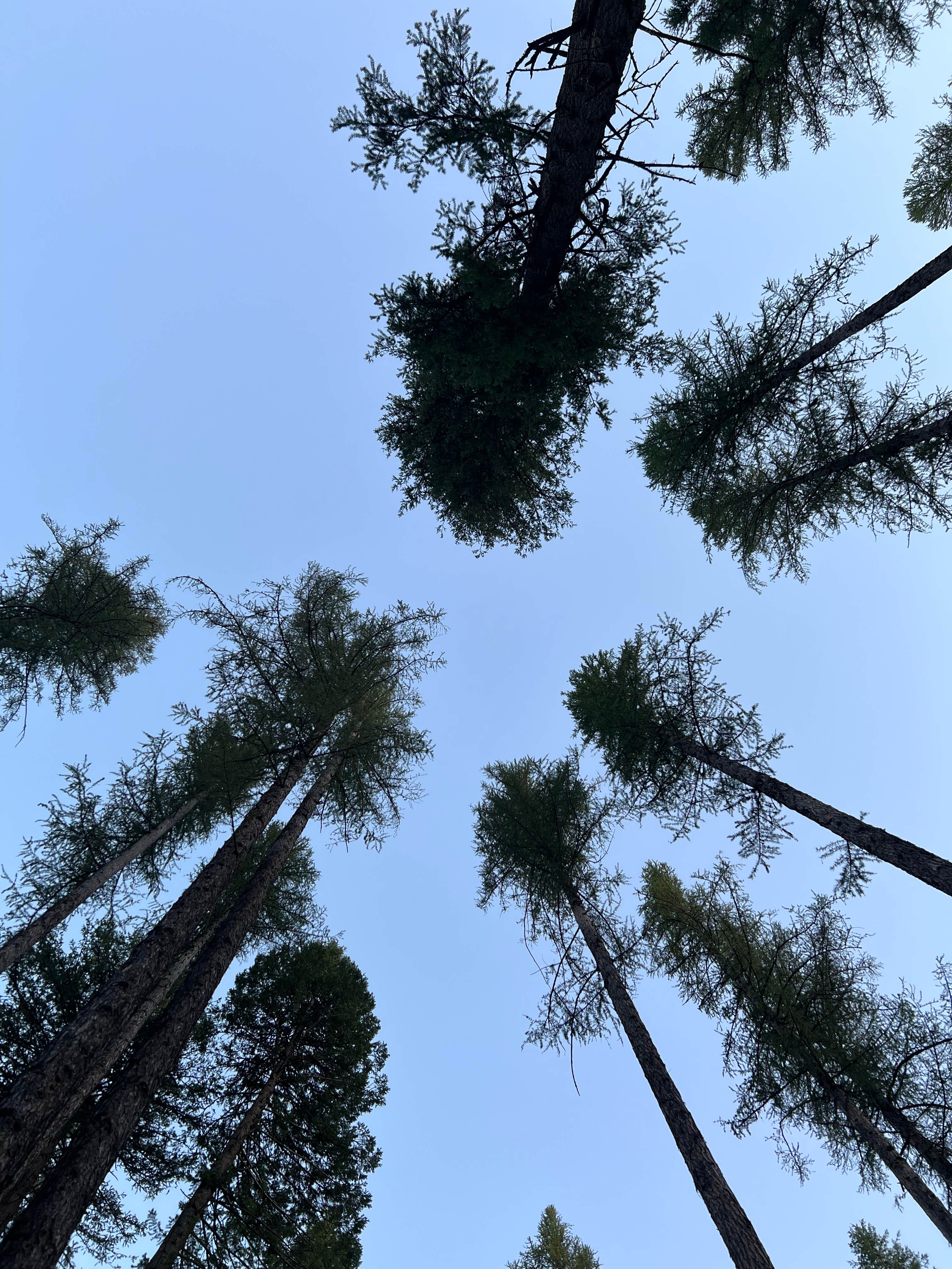 Camper-submitted photo at Bird Track Springs near Meacham, OR