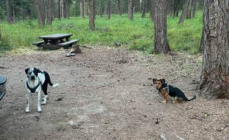 Charlotte R.'s photo of camping with pets at Bird Track Springs near La Grande, OR