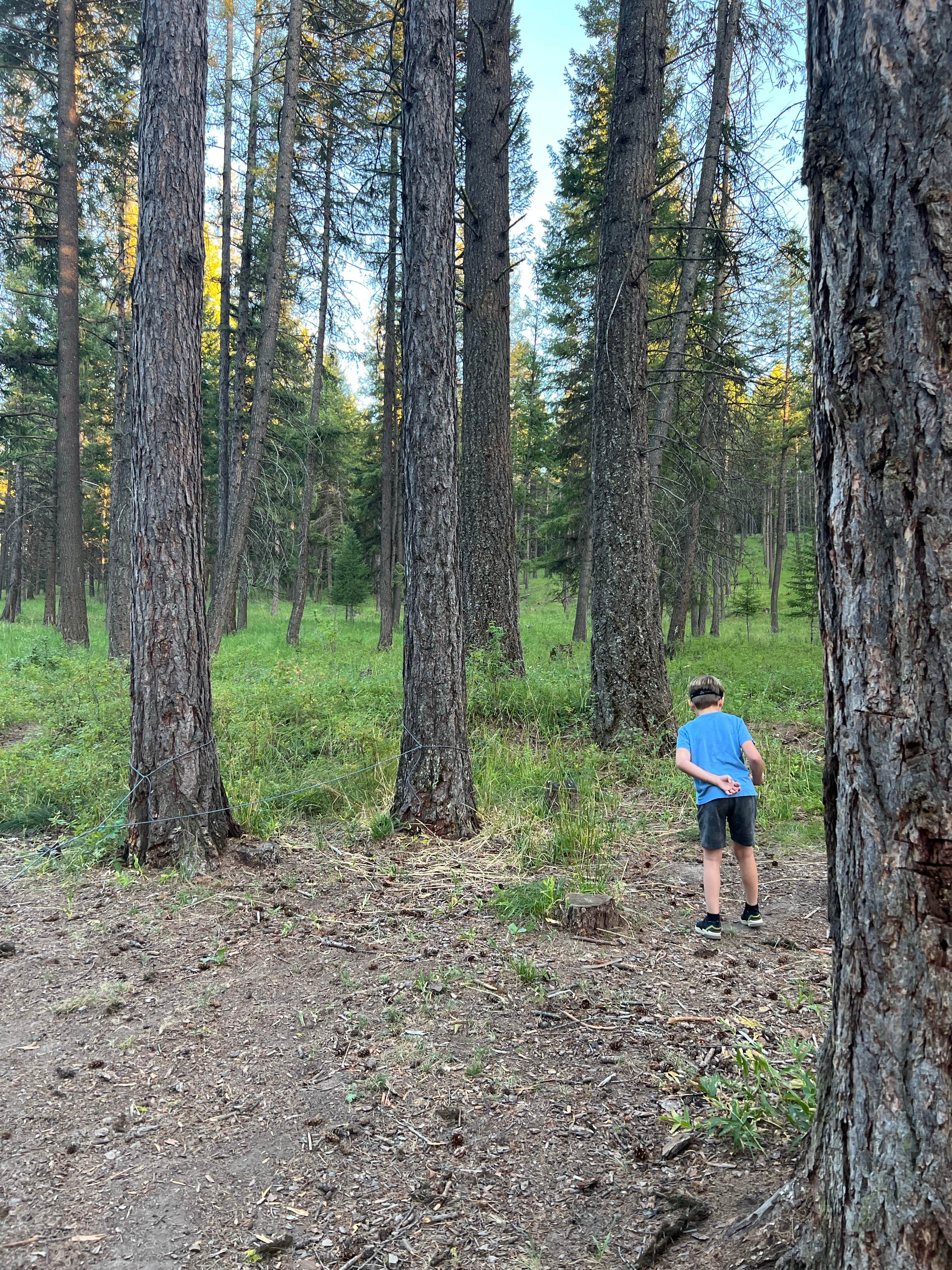 Camper-submitted photo at Bird Track Springs near Meacham, OR