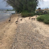 Review photo of Standley Lake by Shannon S., July 22, 2018