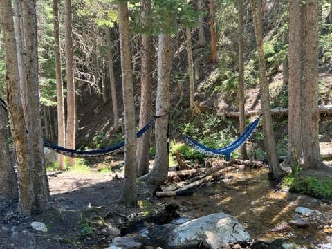 Camper submitted image from Allenspark Dispersed Camping - 4