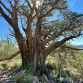 Review photo of Flagstaff KOA by Ashley M., August 9, 2022