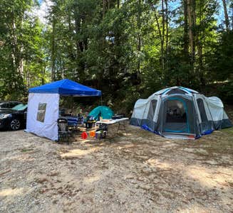 Camper-submitted photo from Otter River State Forest