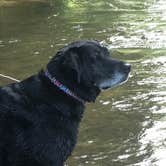 Review photo of Steele Creek Park & Campground by Sally T., July 22, 2018