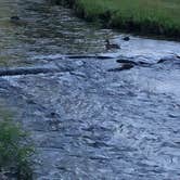 Review photo of Steele Creek Park & Campground by Sally T., July 22, 2018