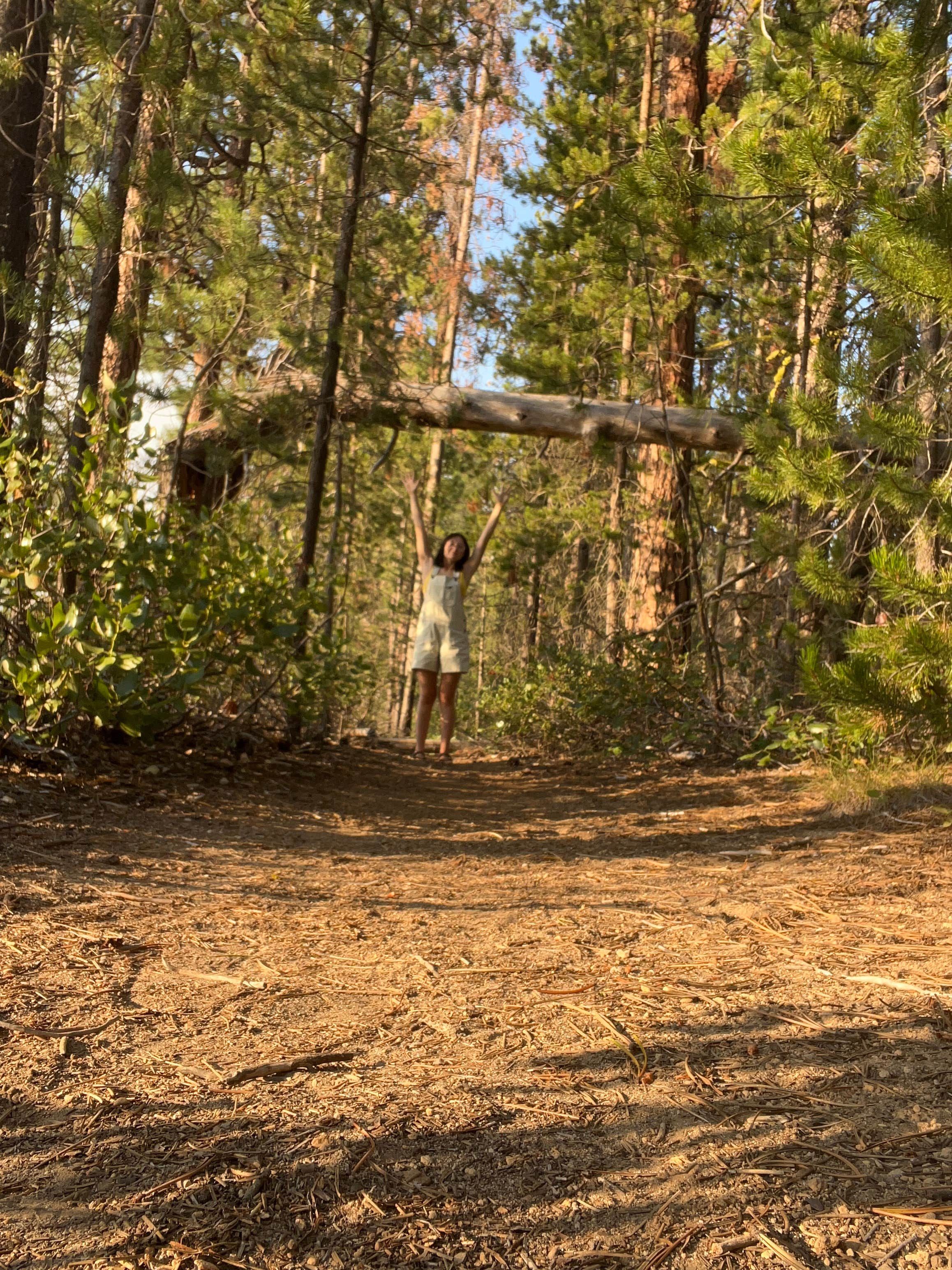 Camper submitted image from South Twin Lake Campground - 2