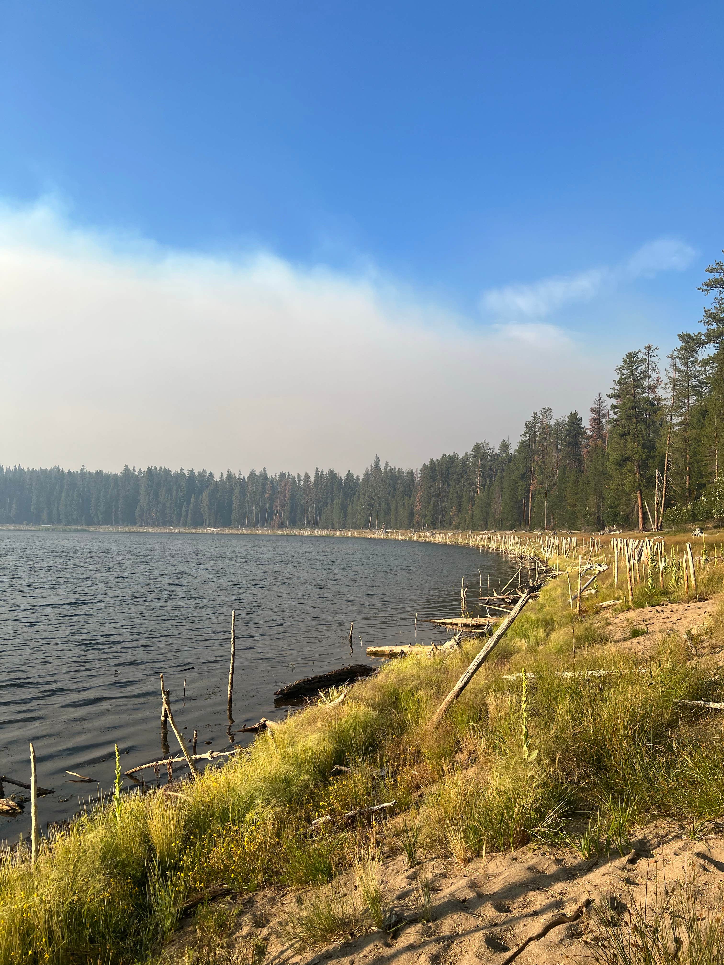 Camper submitted image from South Twin Lake Campground - 4