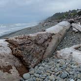 Review photo of South Beach Campground — Olympic National Park by Michael D., August 9, 2022