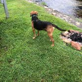 Review photo of Steele Creek Park & Campground by Sally T., July 22, 2018