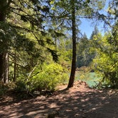 Review photo of Goodell Creek Campground — Ross Lake National Recreation Area by Duncan G., August 9, 2022