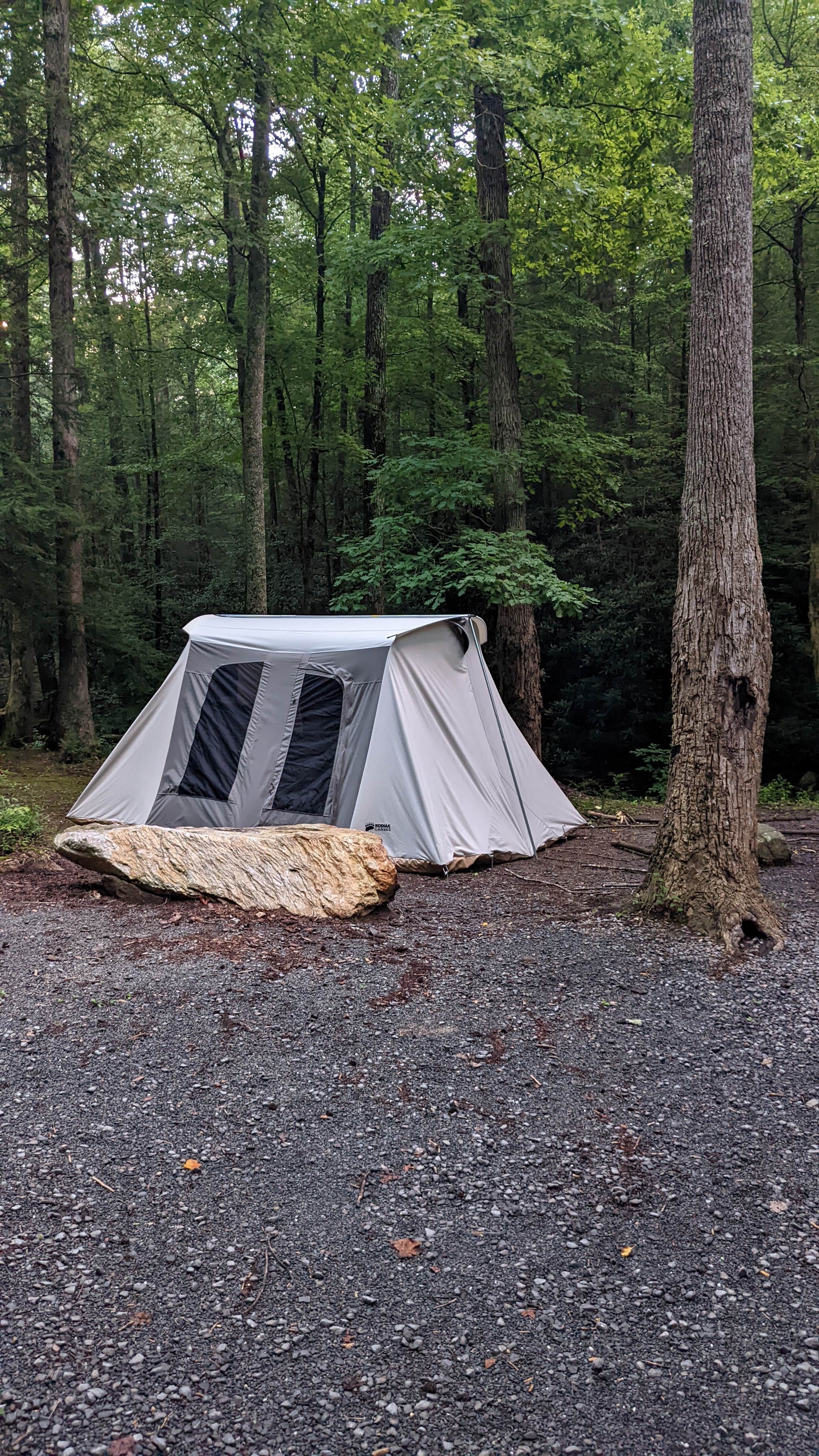 Camper-submitted photo at Hickey Gap (Cohutta WMA) near Etowah, TN