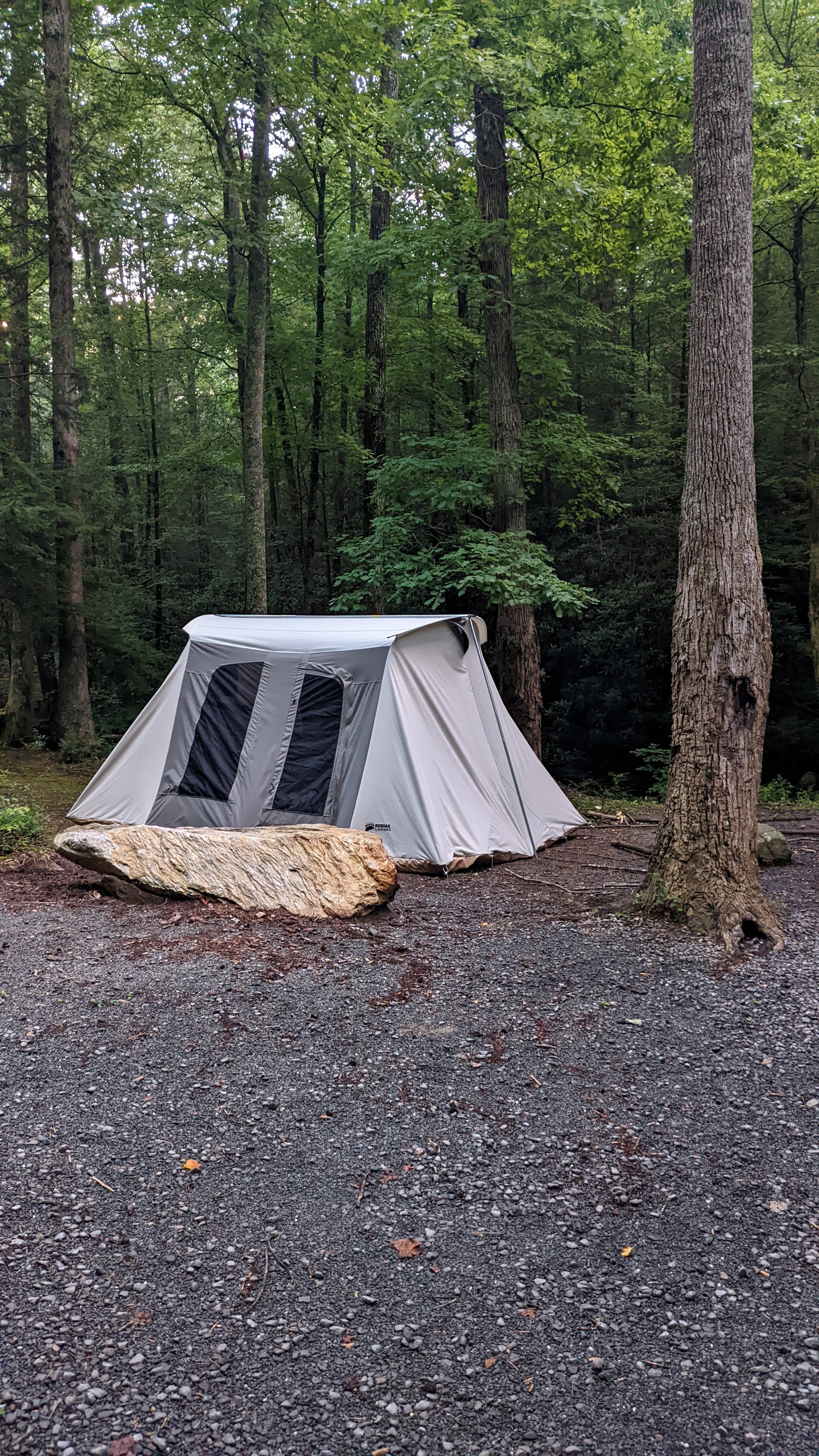 Camper submitted image from Hickey Gap (Cohutta WMA) - 4