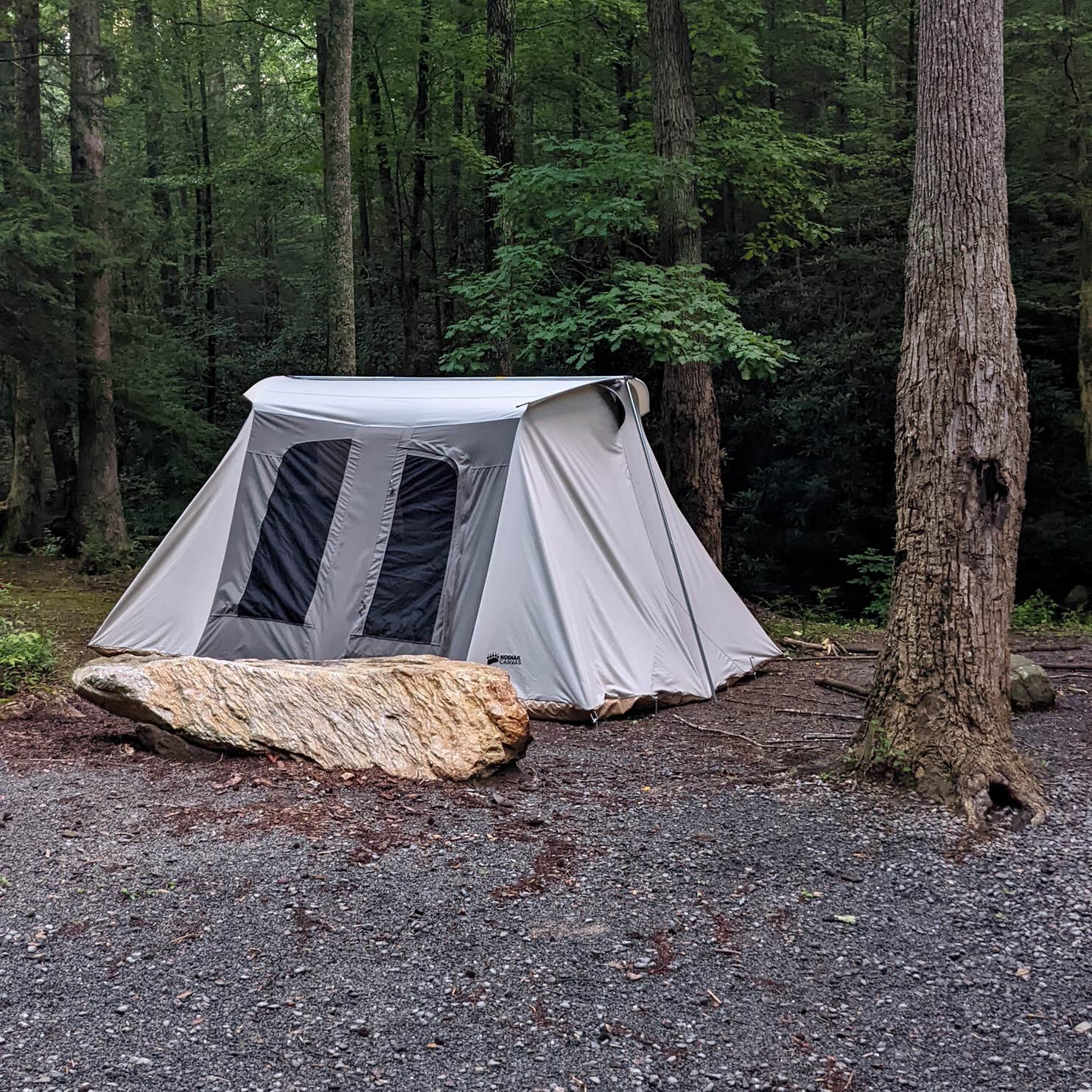 Hickey Gap (Cohutta WMA) Camping The Dyrt