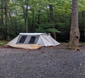 Camper-submitted photo from Hickey Gap (Cohutta WMA)