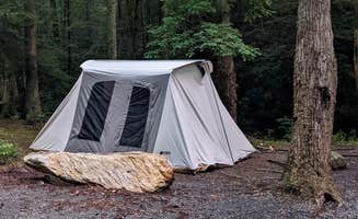Mike H.'s photo at Hickey Gap (Cohutta WMA) near Cisco, GA