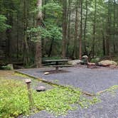 Review photo of Hickey Gap (Cohutta WMA) by Mike H., August 9, 2022