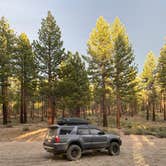 Review photo of Inyo National Forest Dispersed Camping by Michael D., August 9, 2022