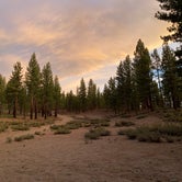 Review photo of Inyo National Forest Dispersed Camping by Michael D., August 9, 2022
