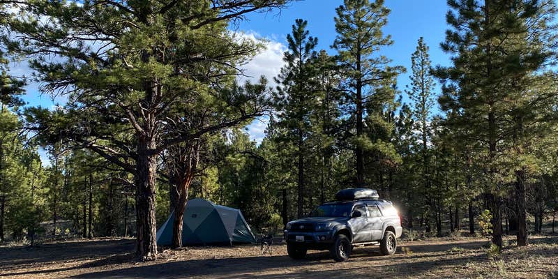 Camper submitted image from FR3623 Dispersed