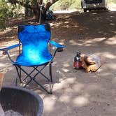 Review photo of Canyon Campground — Leo Carrillo State Park Campground by Sook C., August 9, 2022