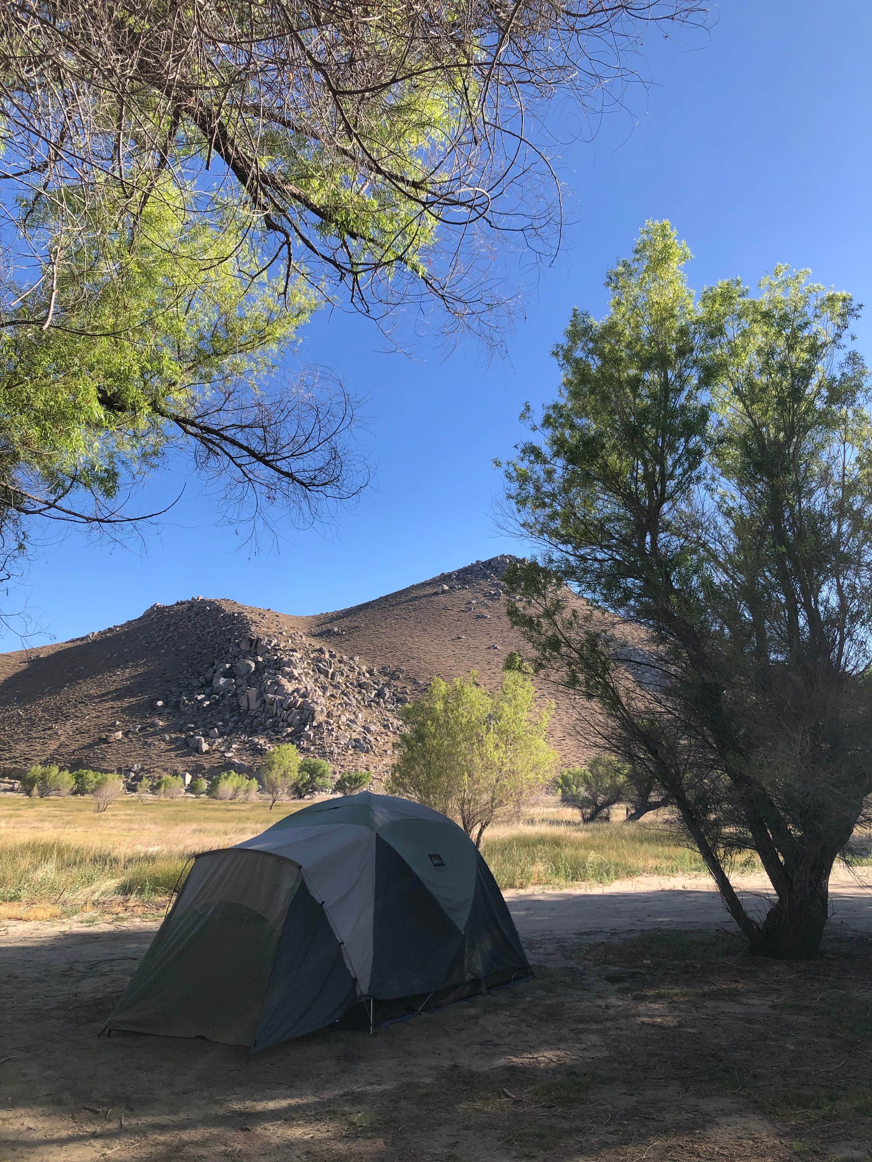 Camper-submitted photo at Hanning Flat Dispersed Area near Onyx, CA