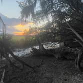 Review photo of Skidaway Island State Park Campground by Nicole M., August 8, 2022