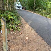 Review photo of Ike Kinswa State Park Campground by Lee D., August 9, 2022