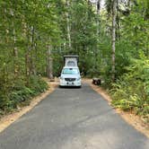 Review photo of Ike Kinswa State Park Campground by Lee D., August 9, 2022