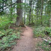 Review photo of Ike Kinswa State Park Campground by Lee D., August 9, 2022