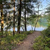 Review photo of Ike Kinswa State Park Campground by Lee D., August 9, 2022